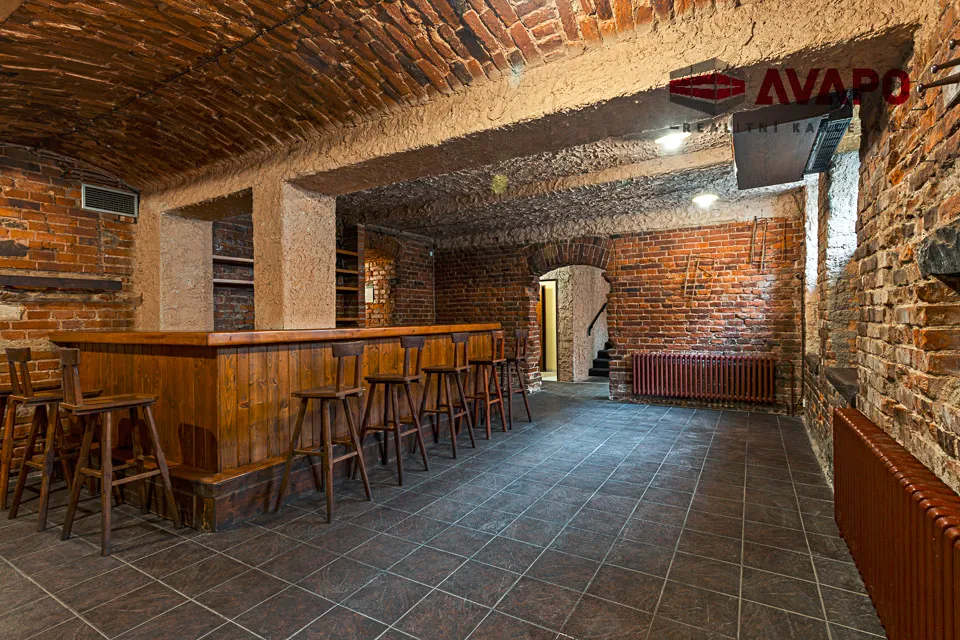 Prodej obchodního prostoru 166 m²